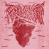 Entrada Tormo Fest 2026